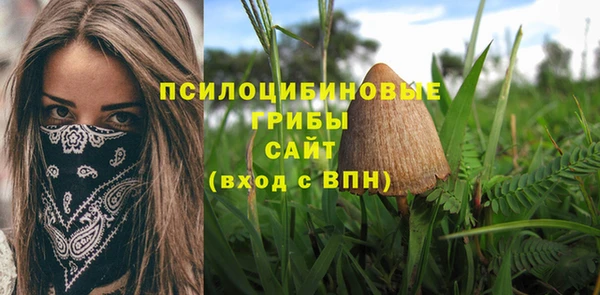 кокс Каменногорск