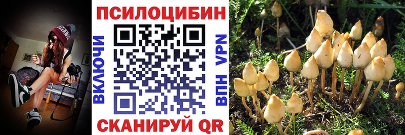 Псилоцибиновые грибы Magic Shrooms  Купить где  Дудинка 
